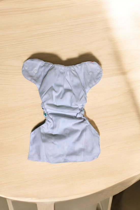 Cloth Diaper Free Size (set of 3)