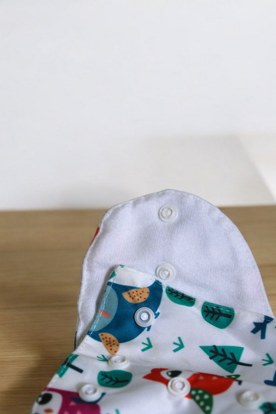 Cloth Diaper Free Size (set of 3)